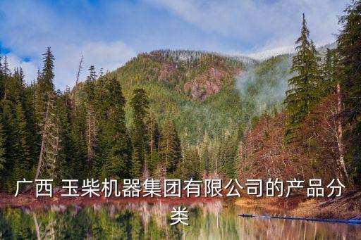 玉柴集團高管人員分管事務(wù)