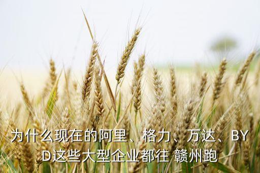 為什么現(xiàn)在的阿里、格力、萬達、BYD這些大型企業(yè)都往 贛州跑