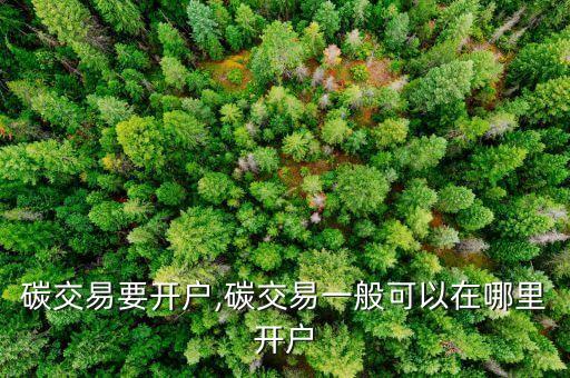 碳交易要開(kāi)戶,碳交易一般可以在哪里開(kāi)戶