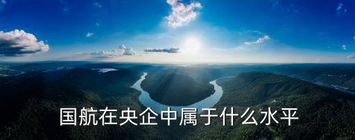  國(guó)航在央企中屬于什么水平