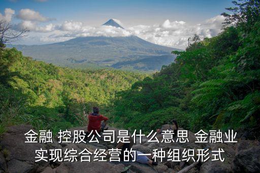  金融 控股公司是什么意思 金融業(yè)實(shí)現(xiàn)綜合經(jīng)營的一種組織形式