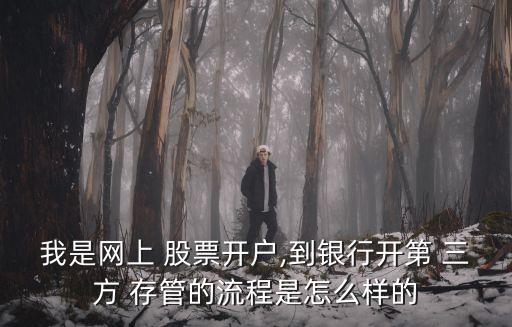 我是網上 股票開戶,到銀行開第 三方 存管的流程是怎么樣的