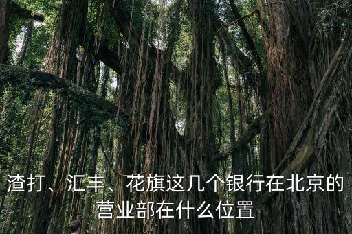 渣打、匯豐、花旗這幾個(gè)銀行在北京的營(yíng)業(yè)部在什么位置