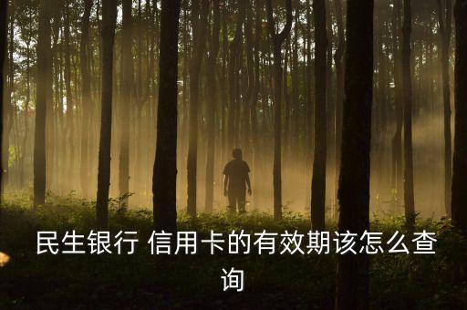 怎么查民生銀行信用卡的賬單日,民生銀行信用卡賬單日消費(fèi)是計入當(dāng)期賬單