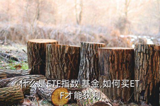 什么是ETF指數(shù) 基金,如何買(mǎi)ETF才能獲利