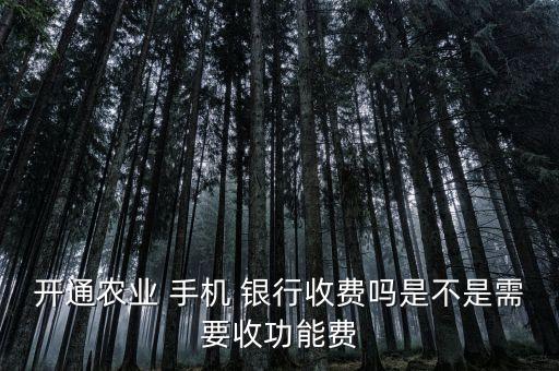 開通農業(yè) 手機 銀行收費嗎是不是需要收功能費