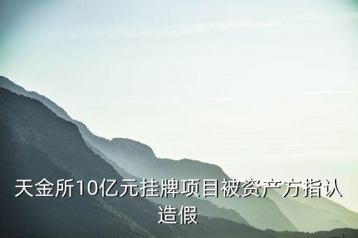 天金所10億元掛牌項目被資產(chǎn)方指認造假