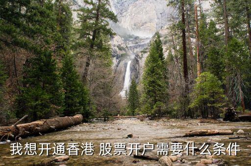 我想開(kāi)通香港 股票開(kāi)戶需要什么條件