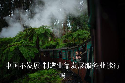 中國不發(fā)展 制造業(yè)靠發(fā)展服務業(yè)能行嗎