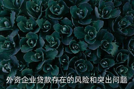 外資企業(yè)貸款存在的風(fēng)險和突出問題