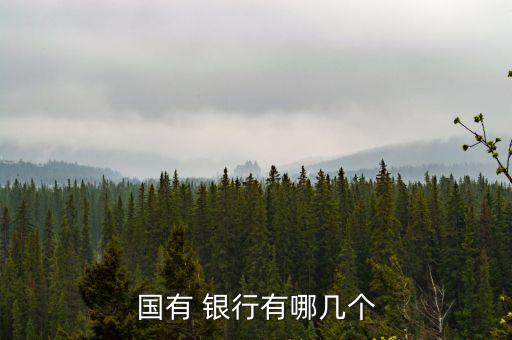 國(guó)有 銀行有哪幾個(gè)