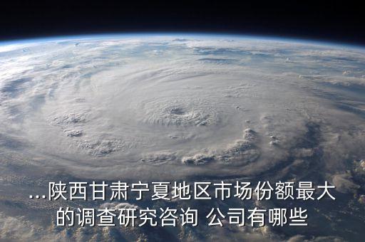 ...陜西甘肅寧夏地區(qū)市場(chǎng)份額最大的調(diào)查研究咨詢(xún) 公司有哪些