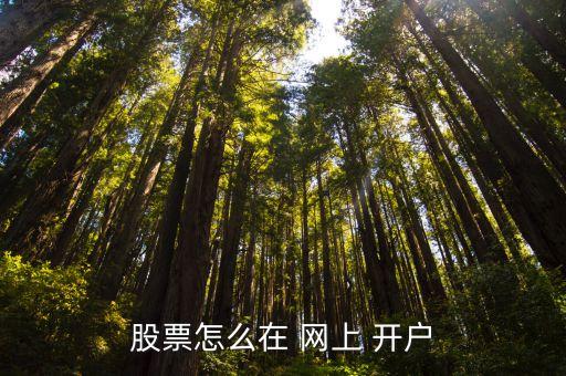 可以網(wǎng)上開戶的證券公司,網(wǎng)上開戶證券公司有風(fēng)險嗎
