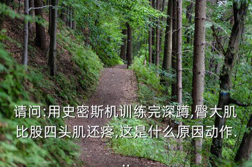 請問:用史密斯機(jī)訓(xùn)練完深蹲,臀大肌比股四頭肌還疼,這是什么原因動(dòng)作...