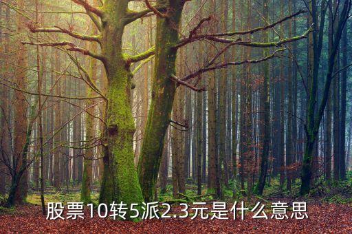  股票10轉5派2.3元是什么意思