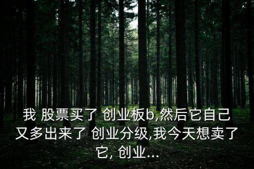 我 股票買(mǎi)了 創(chuàng)業(yè)板b,然后它自己又多出來(lái)了 創(chuàng)業(yè)分級(jí),我今天想賣(mài)了它, 創(chuàng)業(yè)...