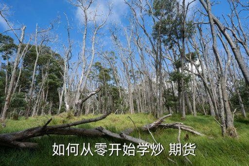 如何從零開(kāi)始學(xué)炒 期貨