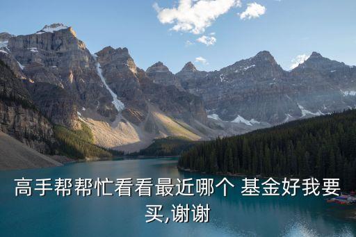 高手幫幫忙看看最近哪個(gè) 基金好我要買,謝謝