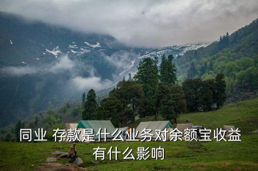  同業(yè) 存款是什么業(yè)務(wù)對(duì)余額寶收益有什么影響