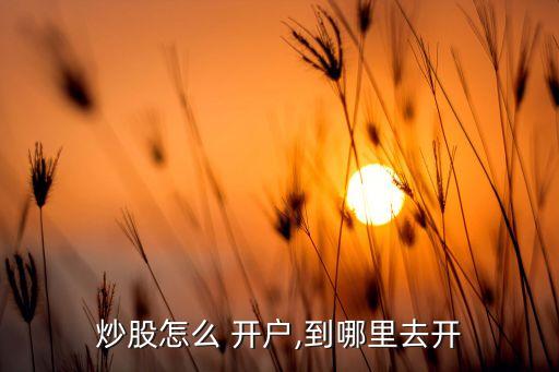 炒股怎么 開(kāi)戶,到哪里去開(kāi)