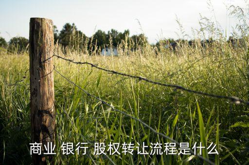 商業(yè) 銀行 股權轉(zhuǎn)讓流程是什么