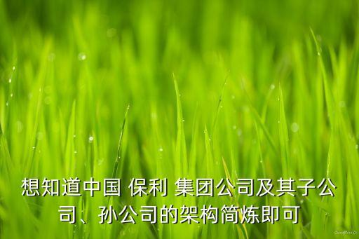 想知道中國 保利 集團(tuán)公司及其子公司、孫公司的架構(gòu)簡煉即可
