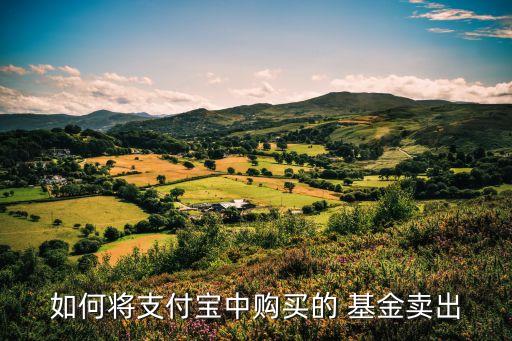 如何將支付寶中購買的 基金賣出