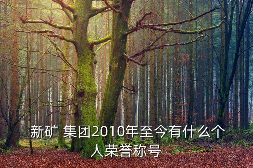  新礦 集團2010年至今有什么個人榮譽稱號