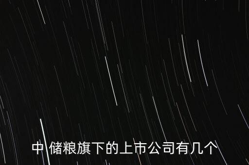 中 儲糧旗下的上市公司有幾個(gè)