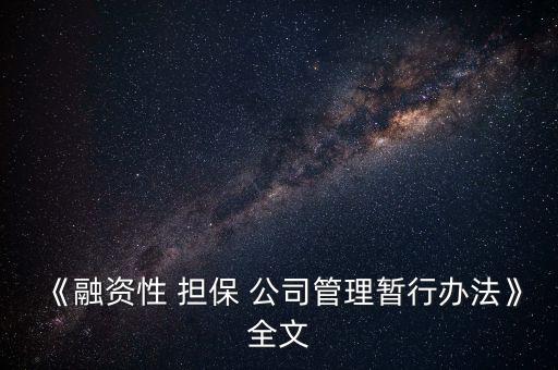 擔(dān)保公司風(fēng)險(xiǎn)評估