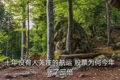 十年沒有人關注的航運 股票為何今年漲了三倍