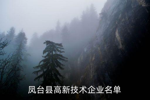 鳳臺縣高新技術企業(yè)名單