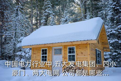 中國電力行業(yè)中,五大發(fā)電集團、四小豪門、兩大電網(wǎng) 公司都是哪些...