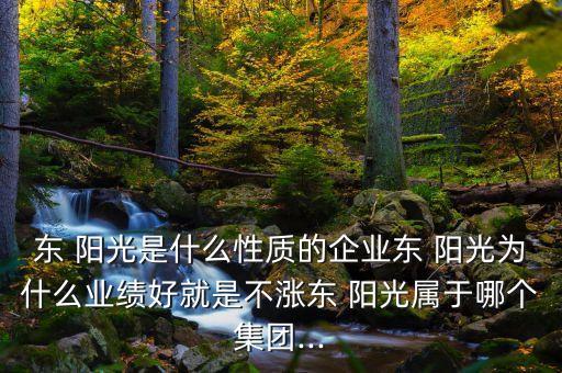 東 陽光是什么性質的企業(yè)東 陽光為什么業(yè)績好就是不漲東 陽光屬于哪個集團...