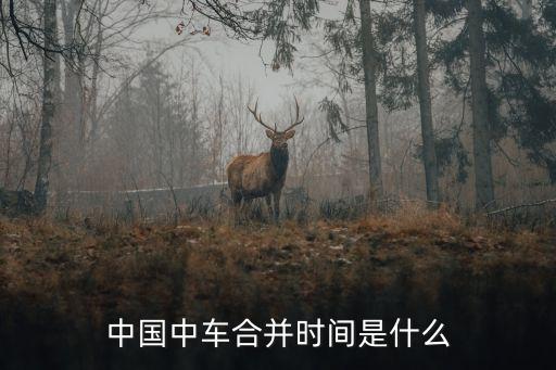 中國(guó)南車(chē)香港公司認(rèn)購(gòu)股份