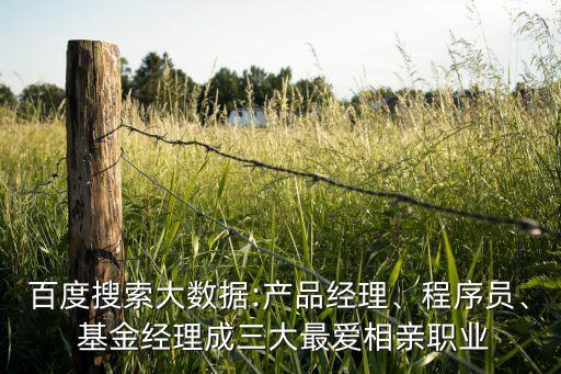 百度搜索大數(shù)據(jù):產(chǎn)品經(jīng)理、程序員、 基金經(jīng)理成三大最愛相親職業(yè)