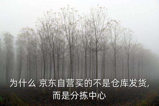 為什么 京東自營(yíng)買的不是倉(cāng)庫(kù)發(fā)貨,而是分揀中心