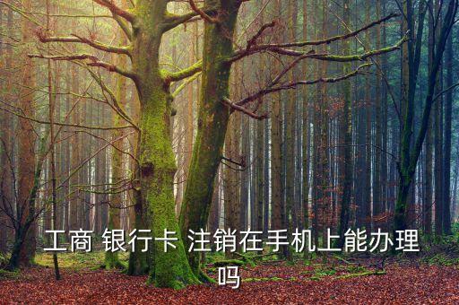  工商 銀行卡 注銷(xiāo)在手機(jī)上能辦理嗎