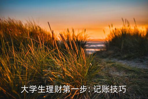 大學生理財?shù)谝徊? 記賬技巧