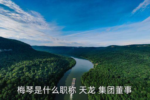 梅琴是什么職稱(chēng) 天龍 集團(tuán)董事