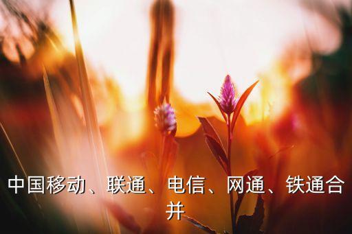 中國移動、聯(lián)通、電信、網(wǎng)通、鐵通合并