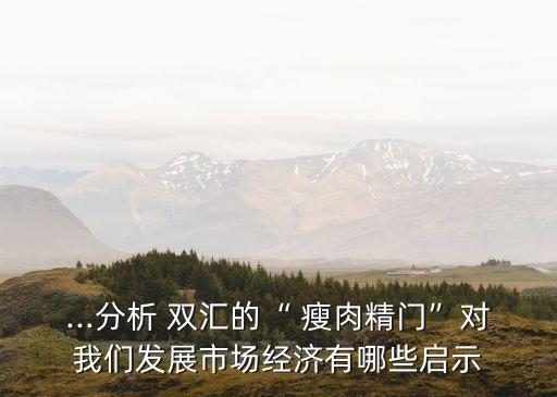 雙匯瘦肉精事件對集團影響,雙匯集團瘦肉精內(nèi)部控制的現(xiàn)實意義