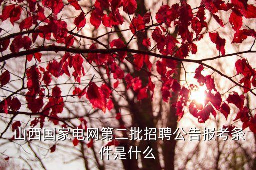  山西國家電網(wǎng)第二批招聘公告報(bào)考條件是什么