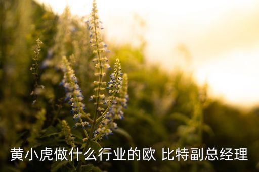 黃小虎做什么行業(yè)的歐 比特副總經理