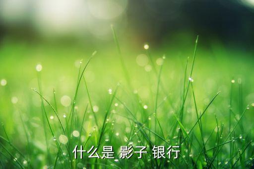 中國(guó)影子銀行的由來(lái)