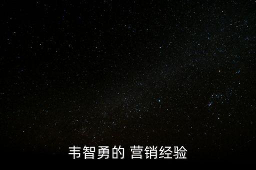韋智勇的 營銷經驗