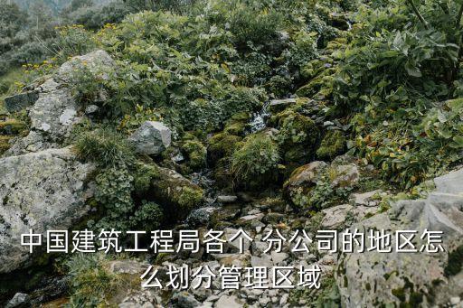 中國建筑工程局各個 分公司的地區(qū)怎么劃分管理區(qū)域