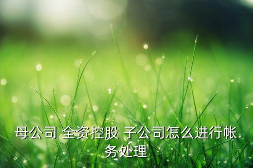 母公司 全資控股 子公司怎么進行帳務(wù)處理
