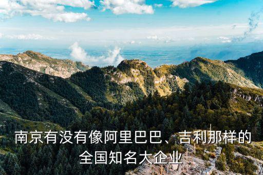 南京有沒(méi)有像阿里巴巴、吉利那樣的全國(guó)知名大企業(yè)
