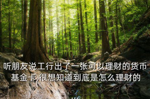 聽朋友說工行出了一張可以理財的貨幣 基金卡,很想知道到底是怎么理財的...